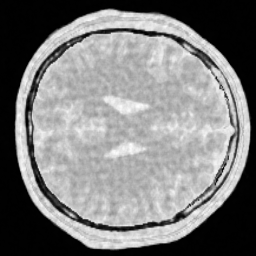 BrainWavelet